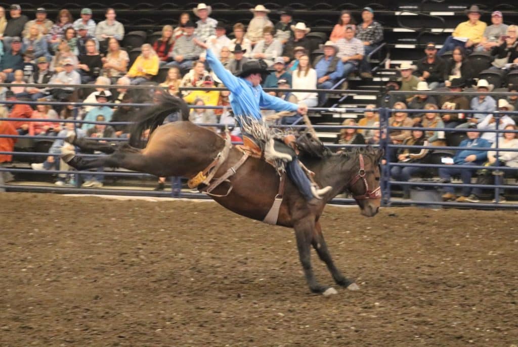 Extreme Bronc Riding - Dakota Horse Magazine