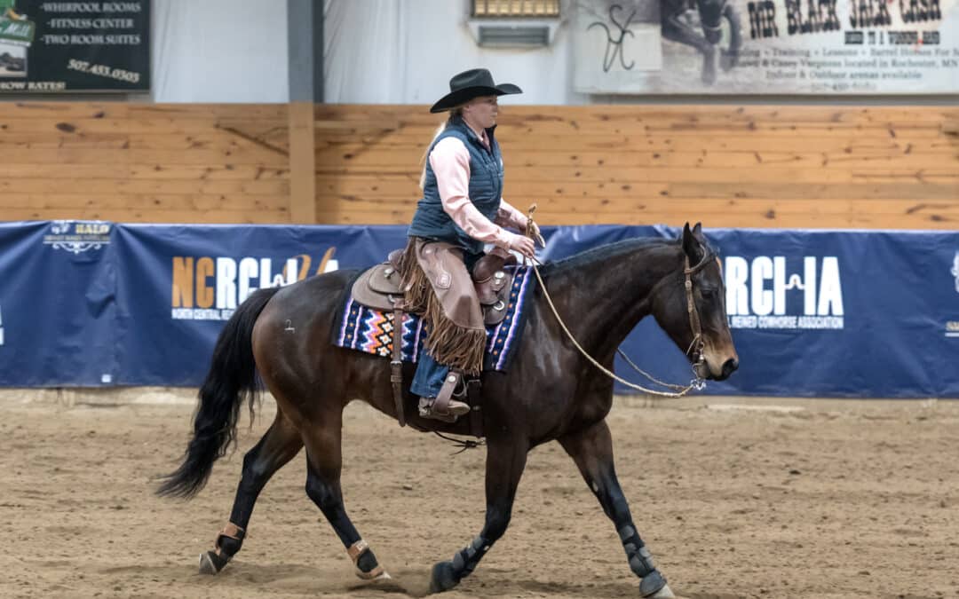 Holidazzle Horse Show: Dakotans Shine