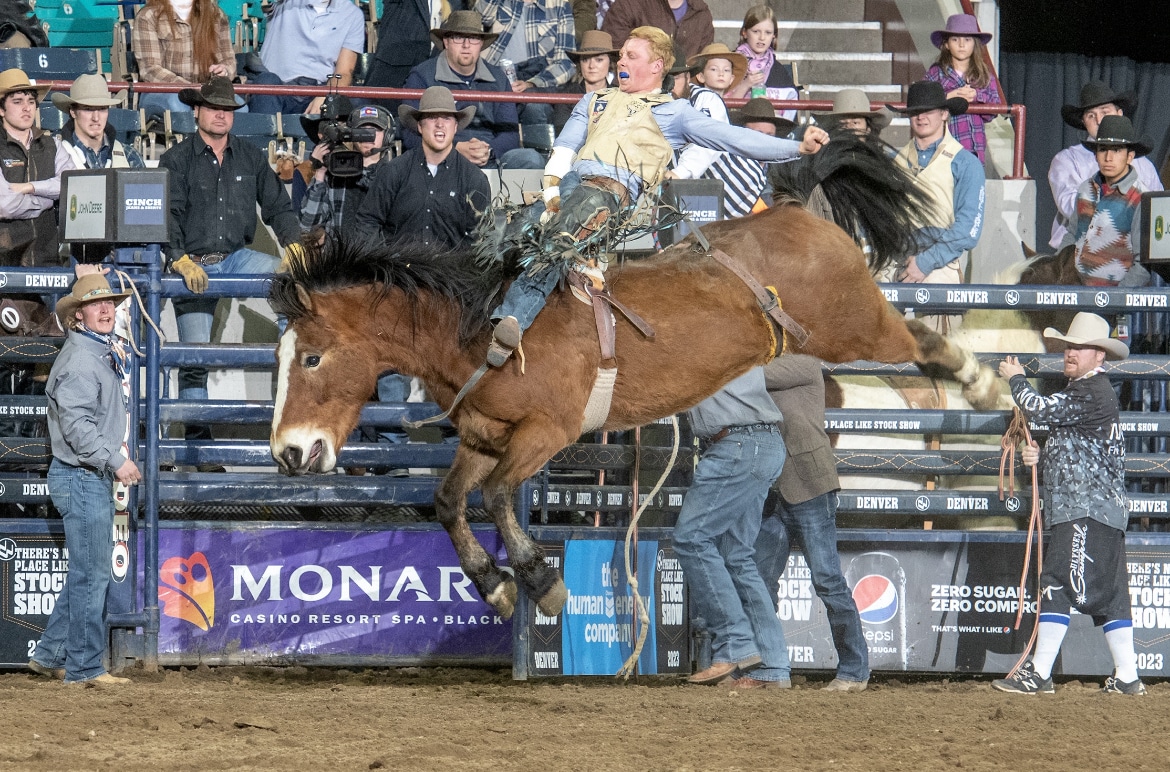 Clay Jorgenson on View Master 91 of Bailey Pro Rodeo [C Bar C Photography]