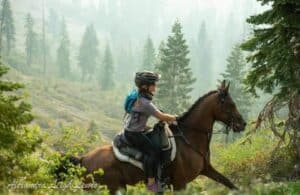 It's the Miles that Make the Horse: Endurance Riding - Dakota Horse Magazine