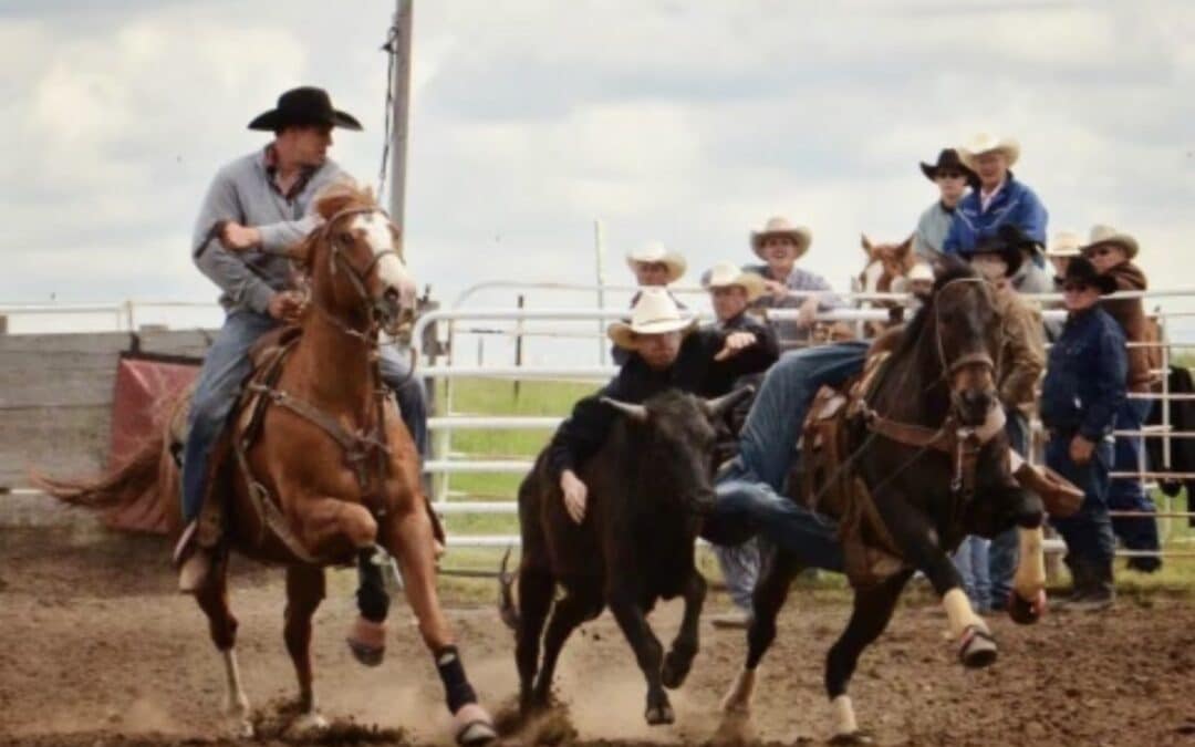 Bulldoggin’ & Barrels on the Prairie: Diamond S Performance Horses