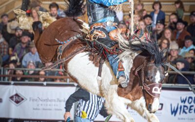 Bailey Pro Rodeo January Update