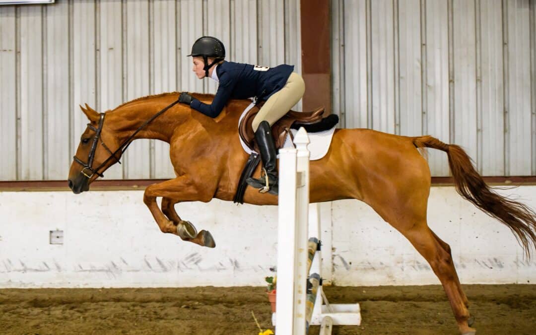 Jump the Jump with Bismarck Equestrian Grace Goebel