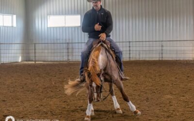 ‘The Give’-Horsemanship Series Part 2 with Josh Lyons
