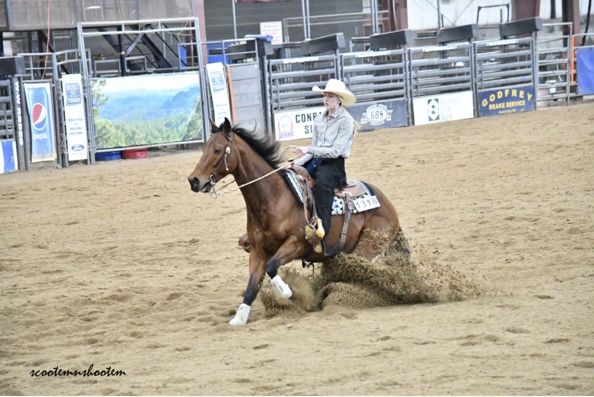 'Morgans Dunit Smart' Makes National Qualification - Dakota Horse Magazine