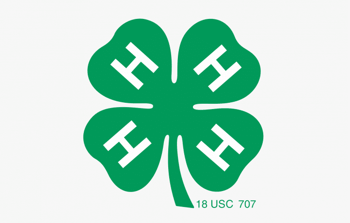 4-H’ers Lending a Hand in April