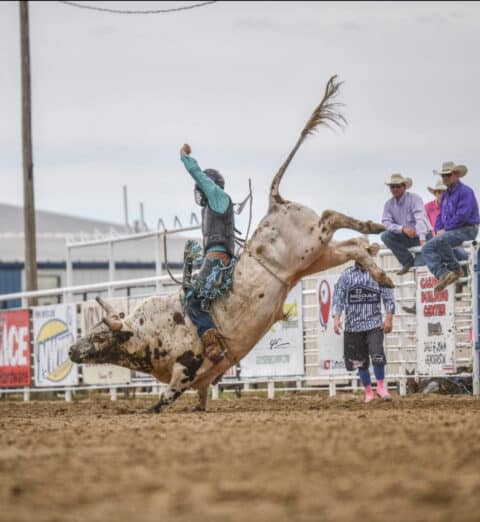 The Rodeo Athlete & Shoulder Care - Dakota Horse Magazine