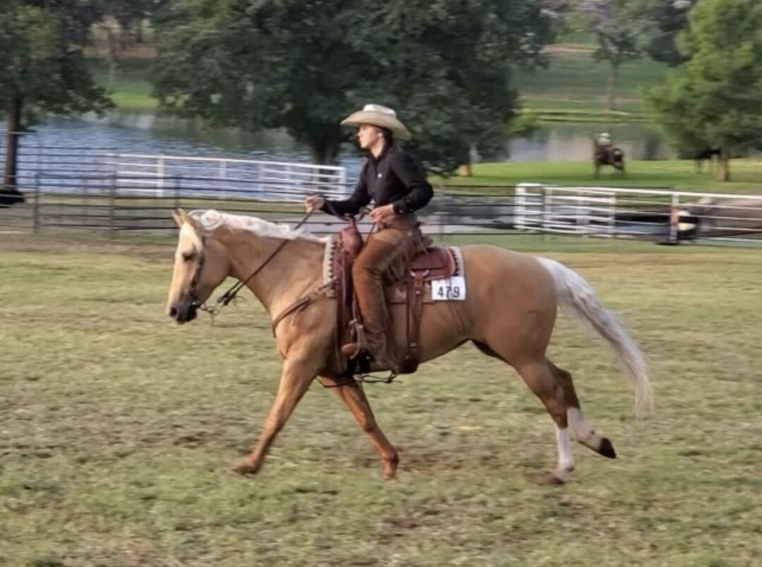 North Dakotans Heat Up the AQHA Versatility World Show Dakota Horse