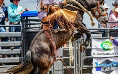 The Heat is On: NDHS Rodeo Finals Light Bowman Up