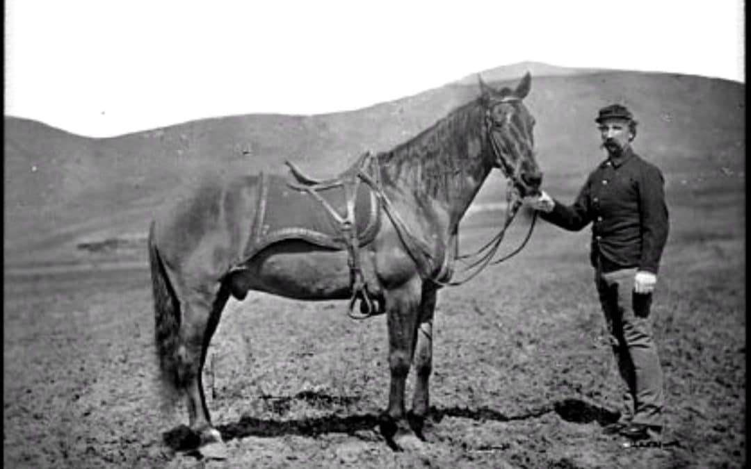 Comanche: Horse Ridden into History