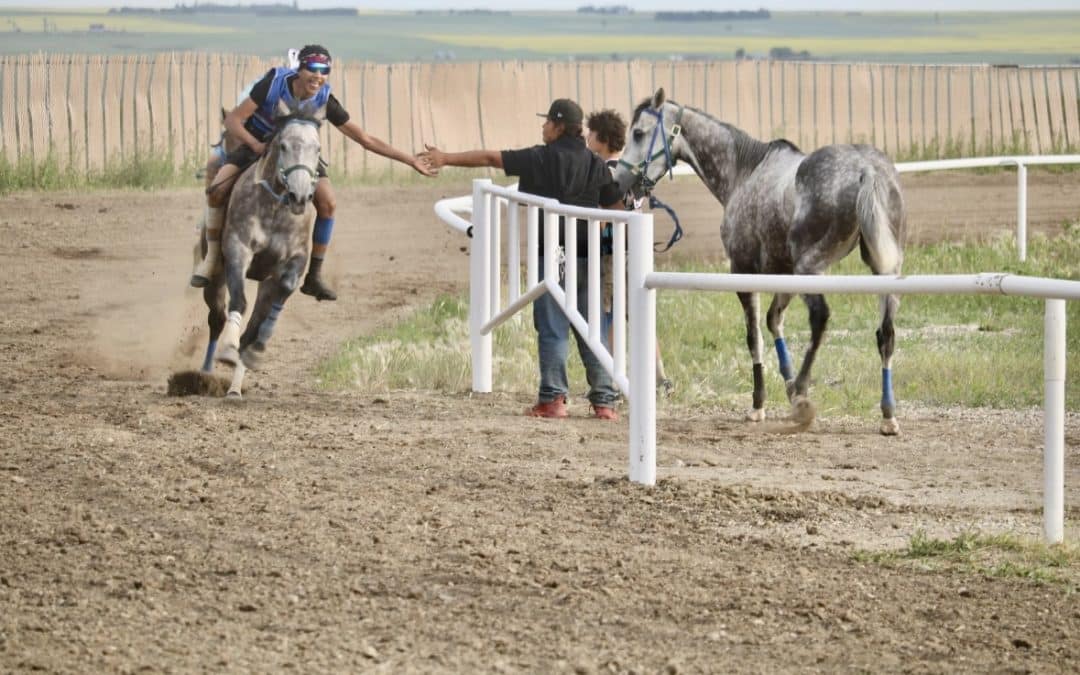 It's the Miles that Make the Horse: Endurance Riding - Dakota Horse  Magazine, endurance riding
