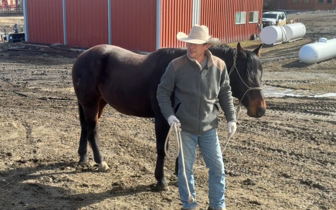 A Ride to the Froelich Ranch