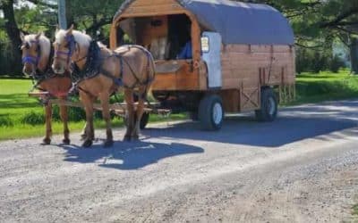 A Big Adventure: 800 Mile Trek by Horse and Wagon