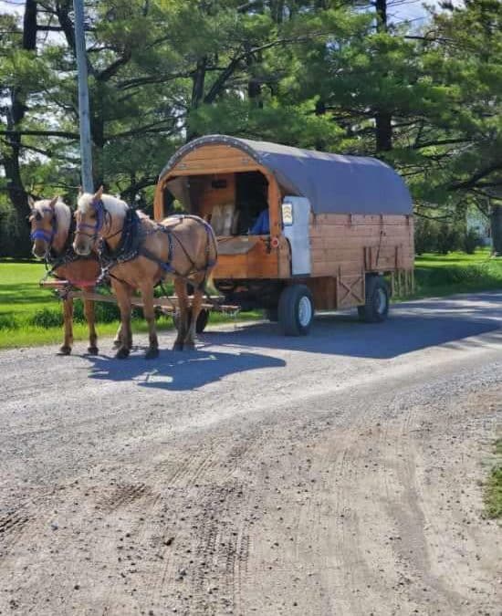 A Big Adventure: 800 Mile Trek by Horse and Wagon